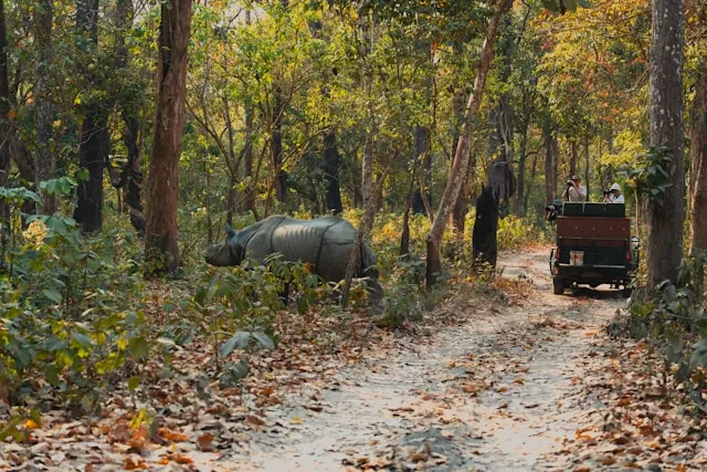 kathmandu to chitwan tour in Nepal