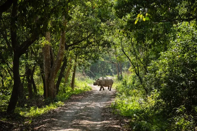 Chitwan tour in Nepal