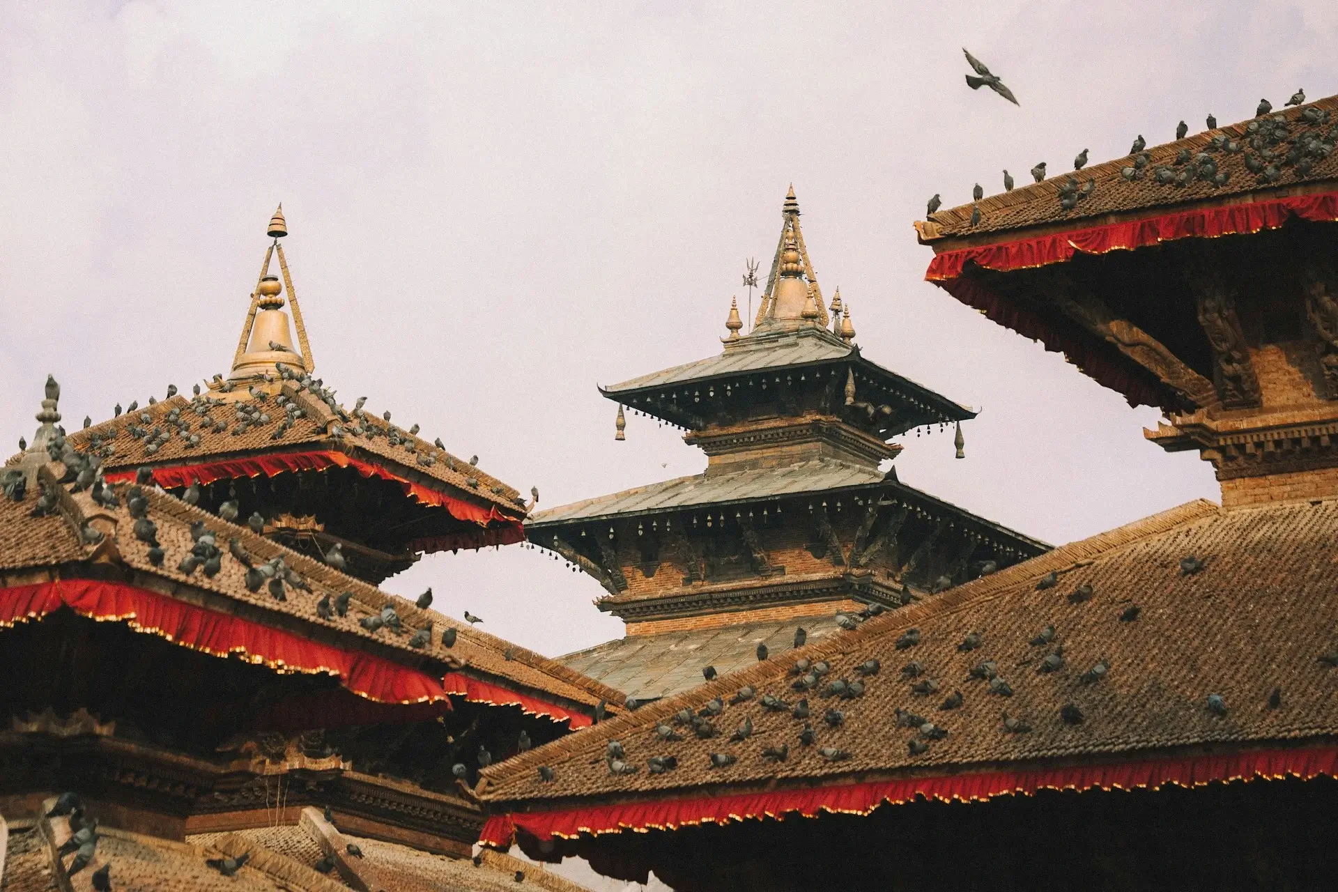 Guide to Asta Matirka in Kathmandu: Mother Goddesses of Kathmandu